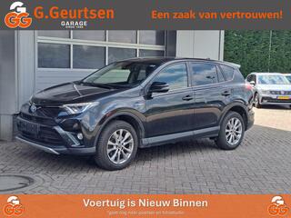 toyota-rav4-2.5-hybrid-style,-trekh