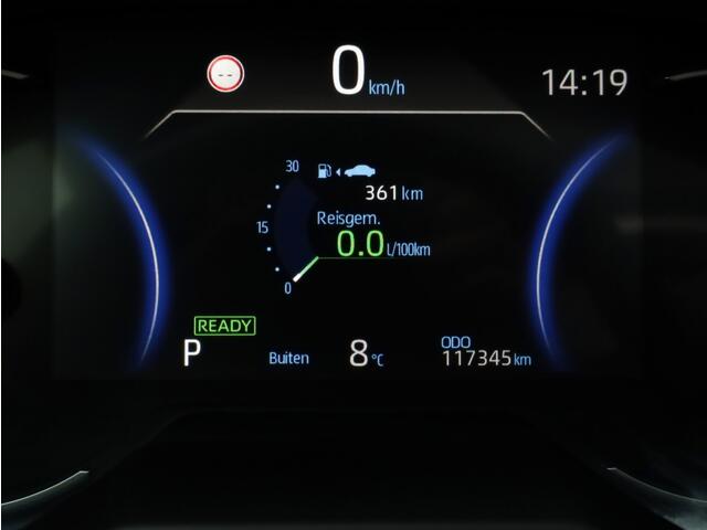 Toyota RAV4 2.5 Hybrid Bi-Tone | Panoramadak | JBL | Treeplanken