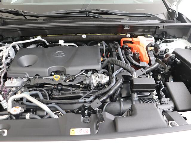 Toyota RAV4 2.5 Plug-in Hybrid AWD Limited Edition demo ivo steenbergen