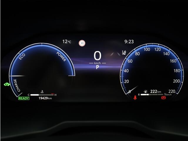 Toyota RAV4 2.5 Hybrid AWD Executive Premium | Bearlock | JBL | Trekhaak