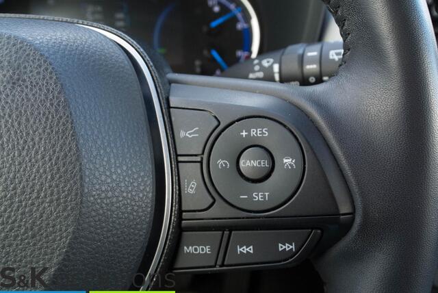 Toyota RAV4 2.5 Hybrid Executive JBL Leder