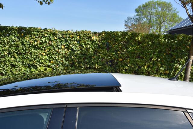 Volkswagen POLO 116 PK TSI Highline Pano LED PDC NAP 1e eigenaar