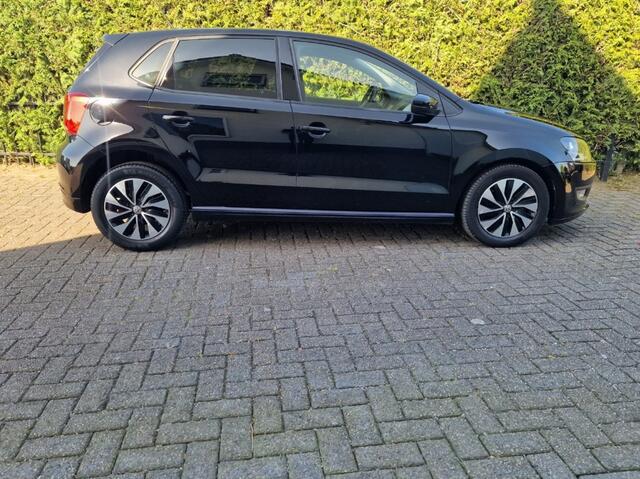 Volkswagen POLO 1.0 Bluemotion airco 5 deurs