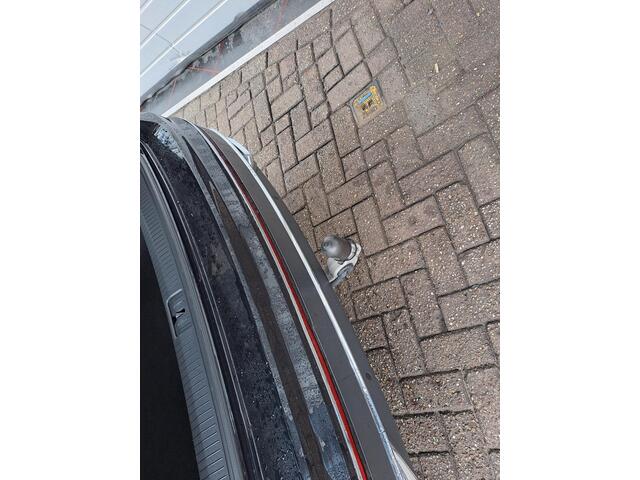 Volkswagen TIGUAN 1.5 TSI Elegance Trekhaak, IQ Light, Apple Carplay/Android Auto, Stoel/Stuur verwarming,