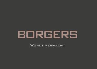 audi-q3-45-tfsie-pano.dak+trekhaak+