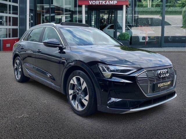 Audi e-tron 50 QUATTRO ADVANCED PANO-DAK/TREKHAAK/LEDER/CAMERA/ACC