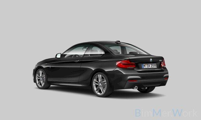BMW 2-SERIE Coupé 218i High Executive M Sport | M Performance | Stoelverwarming | Navigatie | Keyless | Camera | Cruise Control | DAB | HIFI | Parkeersensoren | Leer | Digital Dash | Automaat | NAP | Orig. NL | BTW