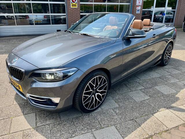 BMW 2-SERIE 220I HIGH EXECUTIVE NAP LOGISCH