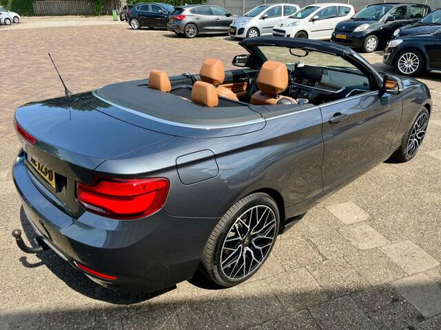 BMW 2-SERIE 220I HIGH EXECUTIVE NAP LOGISCH