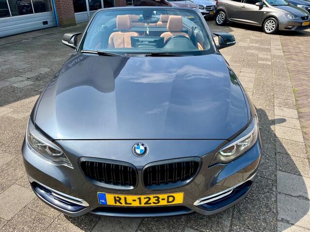 BMW 2-SERIE 220I HIGH EXECUTIVE NAP LOGISCH
