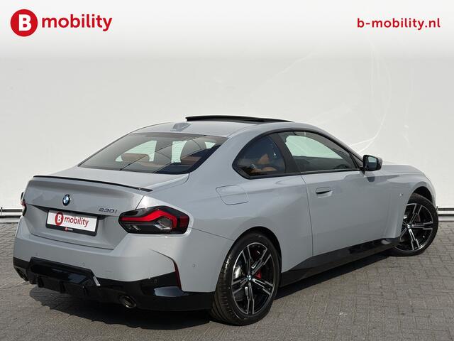 BMW 2-SERIE Coupé 230i High Executive M-Sport Schuif/kanteldak | Achteruitrijcamera | DAB Audio | Hifi | Driving Assistant