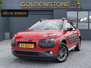 citroen-c4-cactus-1.2-puretech-shin