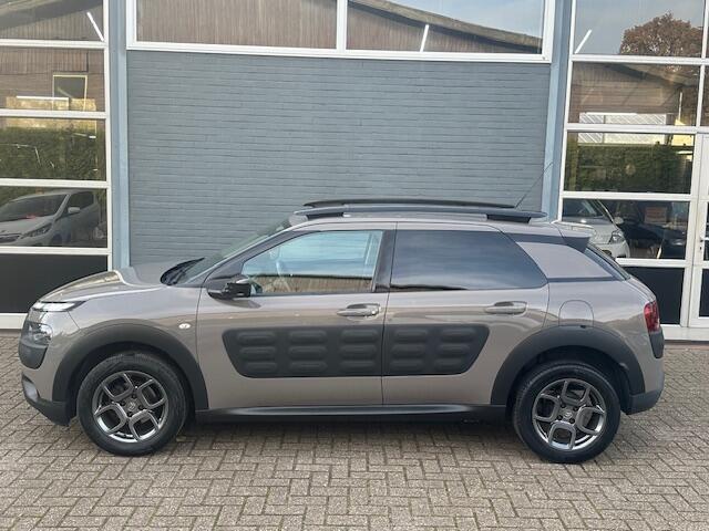 Citroen C4 CACTUS 1.2 PureTech Shine / PDC + Camera / 1e eigenaar