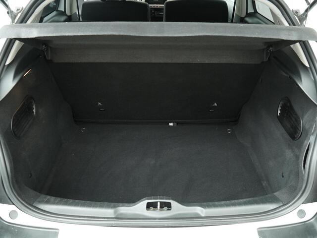 Citroen C4 CACTUS 1.2 PureTech Business - Airconditioning - Cruise Control - Parkeersensoren Achter