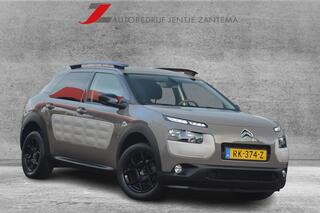 citroen-c4-cactus-1.2-puretech-shin