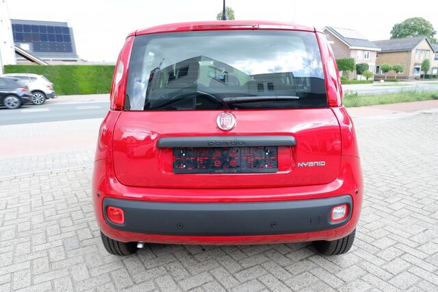 Fiat PANDA 1.0 Hybrid City / INCL. 2 jaar FabrieksGarantie