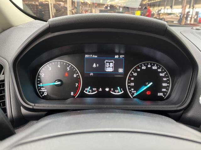 Ford ECOSPORT 125pk EcoBoost Titanium-X Half Leer Navi B&O Keyless Privacy Glass 25.000km !!