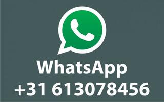 ford-explorer-3.0-v6-eb-phev-st-lin