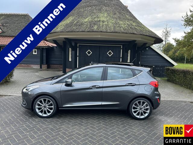 Ford FIESTA 1.0 EcoBoost Vignale Pano Voll