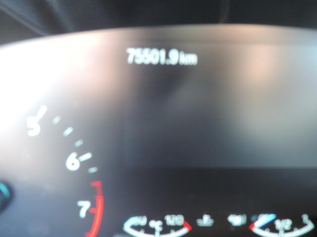 Ford FOCUS 1.0 EcoBoost Hybrid Trend Edition Business