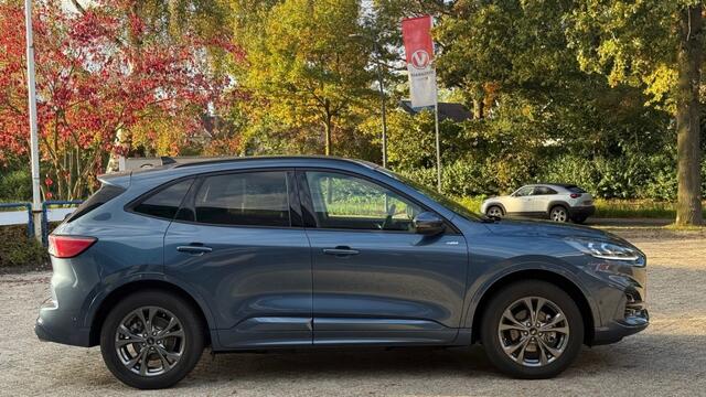 Ford KUGA 2.5 PHEV ST-LINE X / Trekhaak+Driver+Techno+Winter