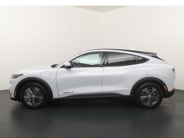 Ford MUSTANG Mach-E Extended RWD 98 kWh | Adapt. Cruise | Clima | Winterpack | Leer | Camera | Apple carplay | Android Auto |