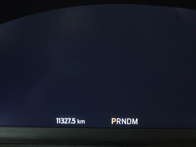 Ford PUMA 1.0 EcoBoost Hybrid ST-Line X | Panoramadak | Camera | Stoelverwarming | Adaptive Cruise Control | Nederlandse Auto | NAP |