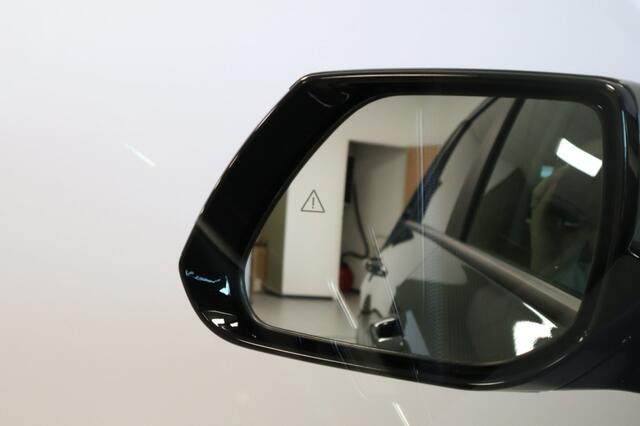 KIA Niro 1.6 GDI PHEV ExecutiveLine-Lim - Harman/Kardon - Stoelventilatie