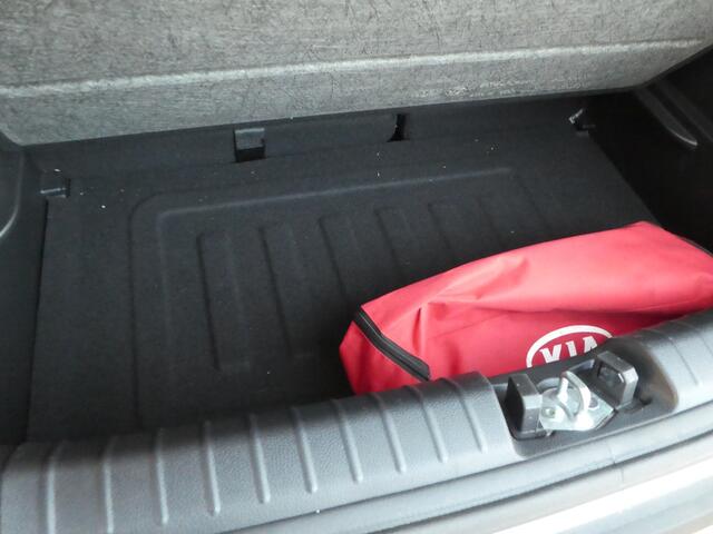 KIA PICANTO 1.2 CVVT First Edition Camera, Airco(ecc), PDC V+A. Navi, Android auto, LM Velgen