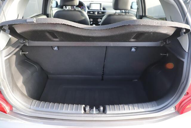 KIA PICANTO 1.0 CVVT Design Edition Leder Navigatie Achteruitrijcamera Carplay Android Climate Cruise Control 16 inch LMV