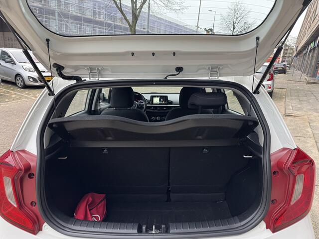 KIA PICANTO 1.0 MPi DynamicLine 48309KM! NAP | 1e Eigenaar | Navigatie | Apple Carplay | Cruise Control | Achteruitrijcamera | Lichtmetalen Velgen |