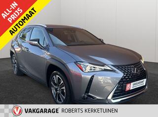 lexus-ux-250h-premium:-stijlvol,-be