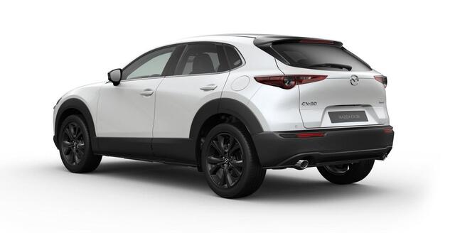 Mazda CX-30 2.0 e-SkyActiv-X M Hybrid Homura 186PK Automaat: ¤ 3.100,- VOORRAADKORTING