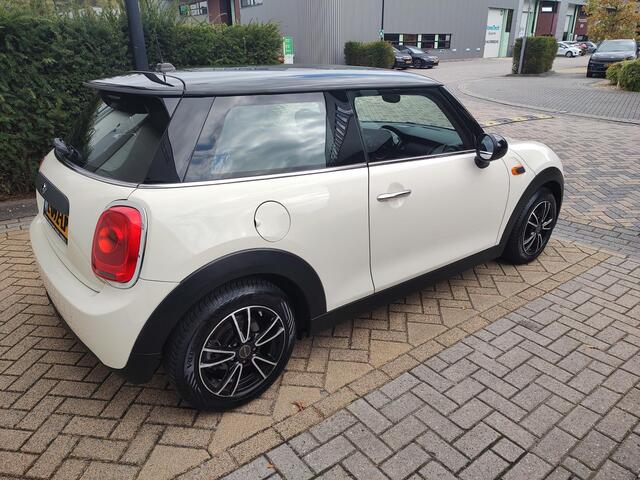 Mini ONE Mini 1.5 Salt Bi-Tone 6-Bak