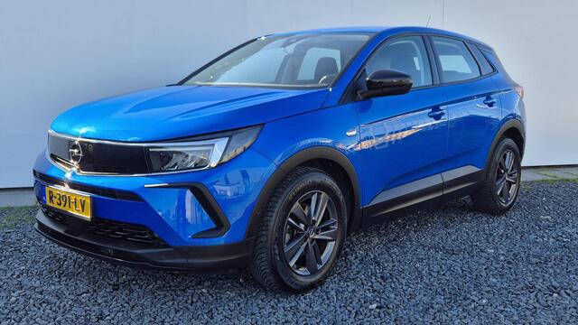 Opel Grandland 1.2 Turbo Business Edition Zicht en Licht pakket - Winter pakket