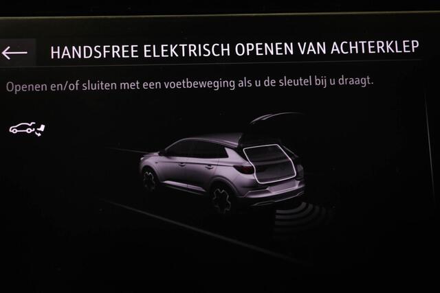 Opel Grandland 1.6 Turbo Plug-In Hybrid Business Edition | WINTER PACK | STUURVERWARMING | STOELVENTILATIE | 360 CAMERA