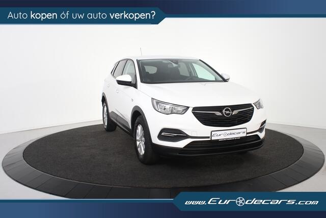 Opel Grandland X 1.2 Turbo Business Executive *Parkassist*Airco*APK nieuw*