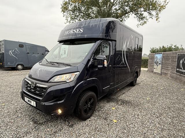 Opel MOVANO Paardenwagen AKX 3XL | HENGST | 10.800KM | 2023 | B-RIJBEWIJS