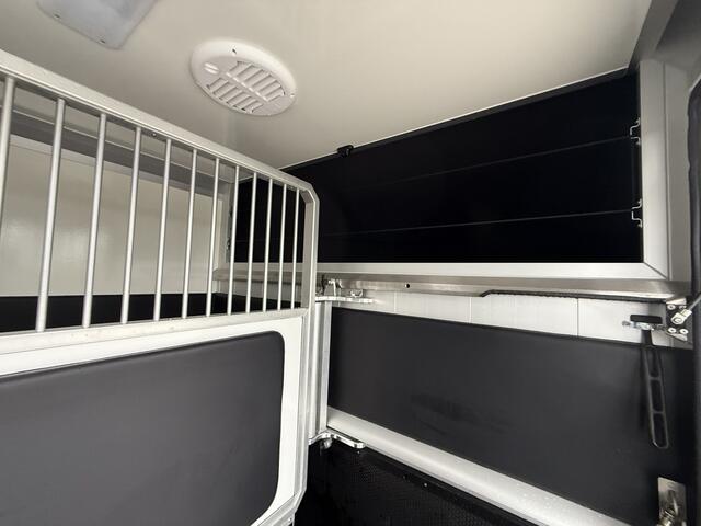 Opel MOVANO Paardenwagen AKX 3XL | HENGST | 10.800KM | 2023 | B-RIJBEWIJS