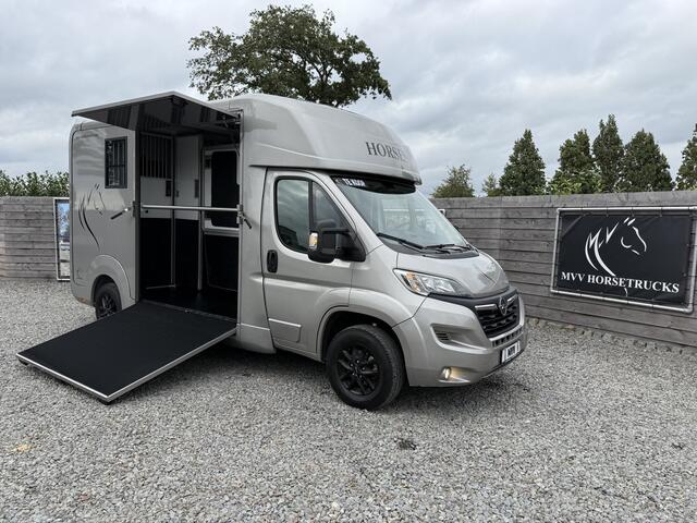 Opel MOVANO Paardenwagen AKX 3XL | HENGST | 31.000KM | 2023 | B-RIJBEWIJS