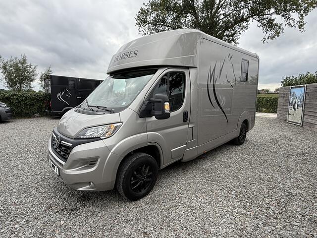 Opel MOVANO Paardenwagen AKX 3XL | HENGST | 31.000KM | 2023 | B-RIJBEWIJS