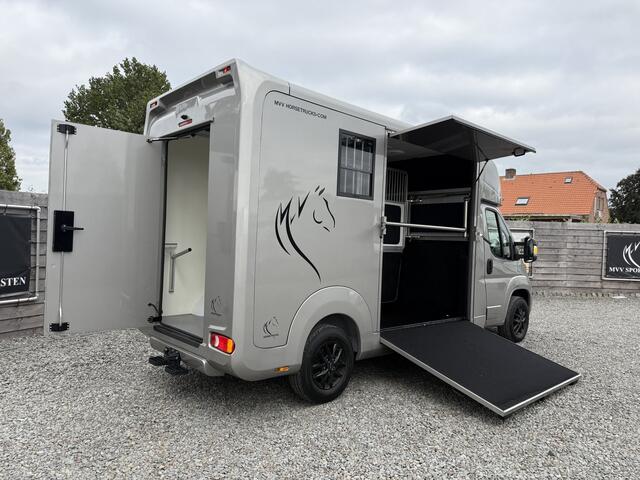 Opel MOVANO Paardenwagen AKX 3XL | HENGST | 31.000KM | 2023 | B-RIJBEWIJS