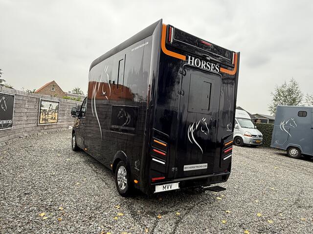 Renault MASTER Paardenwagen MVV 3XL | 2017 | HENGST | 39.000KM | B-rijbewijs