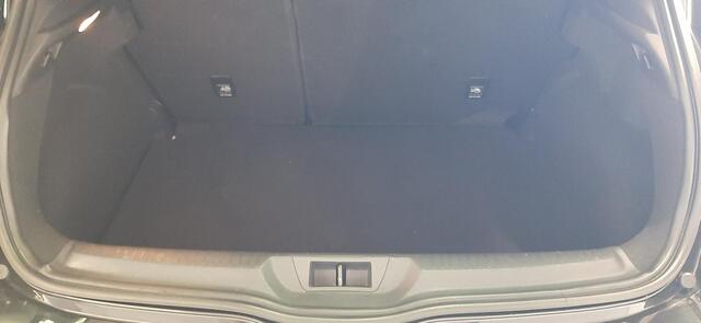 Renault MEGANE 1.6 TCe GT EXTRA SET BANDEN OP LMV / HEAD UP DISPLAY / 4CONTROLE / NAVIGATIE / PARKEERSENSOREN+CAMERA / CLIMATE CONTROLE.