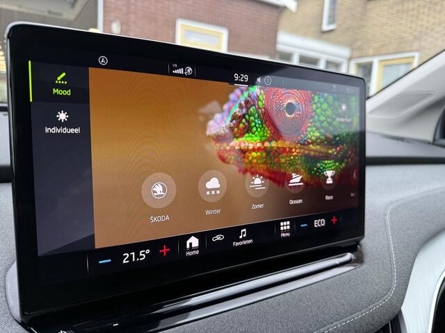 Skoda Enyaq iV 80 Trekhaak, 19''Lmv, Stuurverwarming, Camera