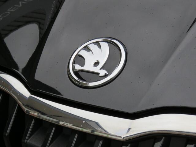 Skoda FABIA 1.0 TSI 95PK Ambition / Navi / Cruise / BOVAG garantie