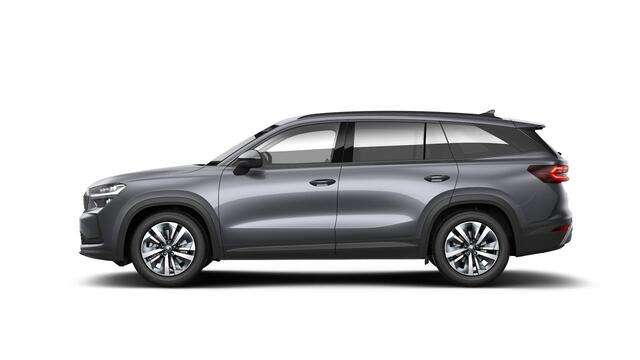 Skoda Kodiaq Business Edition m-HEV 1.5 TSI 150 pk 7 versn. DSG | Light & view pakket | Winter pakket | Trekhaak wegklapbaar | Sunset